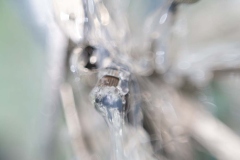 Compass-Glue-020