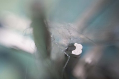 Compass-Glue-029