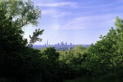 one-tree-hill-01