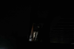IMG_7449