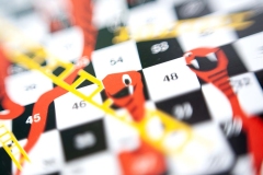 Snakes-and-Ladders003
