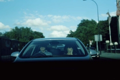 traffical01